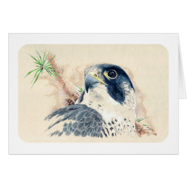 valk (Voorkant Horizontaal)