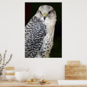 valk poster (Keuken)