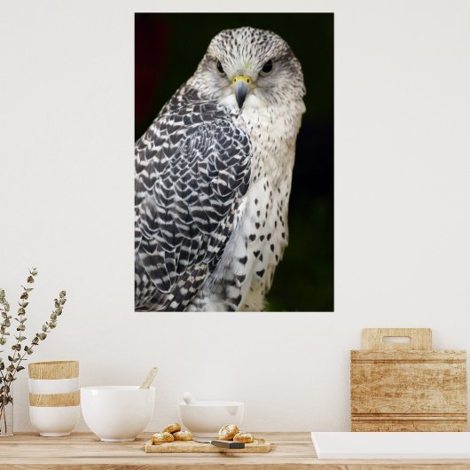 valk poster (Keuken)