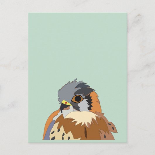 valkenvogelvalk briefkaart (Voorkant)