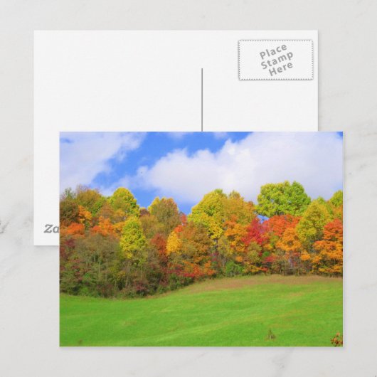 valkleuren briefkaart (Voorkant / Achterkant)