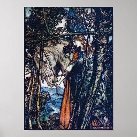 Valkyrie 2 poster (Voorkant)