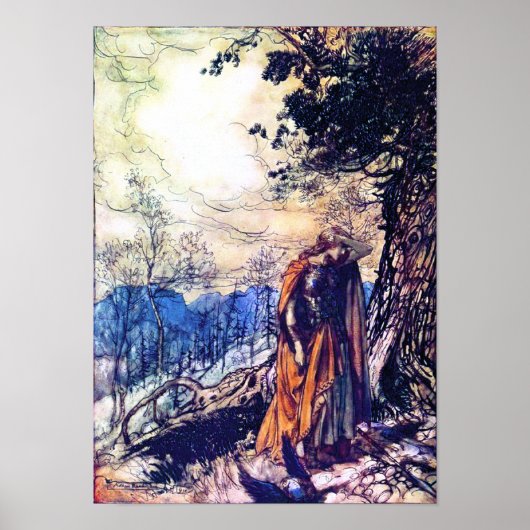 Valkyrie 3 poster (Voorkant)