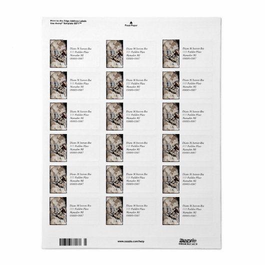 Valkyrie Carries Hero tot Valhalla Etiket (Full Sheet)