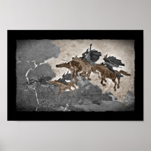 Valkyries in het Storm Poster