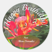 Vallarta Birthday Beauty 1583 Ronde Sticker (Voorkant)