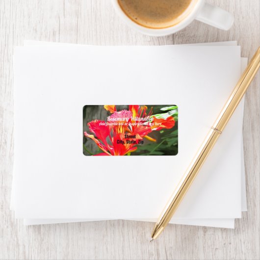 Vallarta Flaming Beauty 1583 Adres Etiket (Insitu)