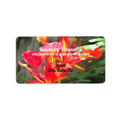 Vallarta Flaming Beauty 1583 Adres Etiket (Voorkant)