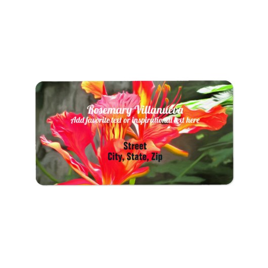 Vallarta Flaming Beauty 1583 Adres Etiket (Voorkant)