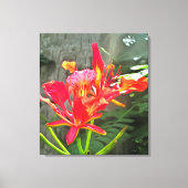 Vallarta Flaming Beauty 1583 Art Canvas Afdruk (Voorkant)