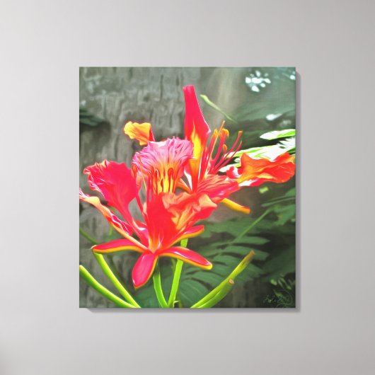 Vallarta Flaming Beauty 1583 Art Canvas Afdruk (Voorkant)