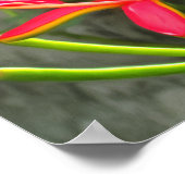 Vallarta Flaming Beauty 1583 Art Print (Hoek)