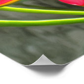 Vallarta Flaming Beauty 1583 Art Print (Hoek)