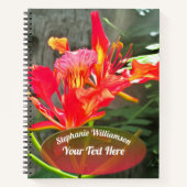 Vallarta Flaming Beauty 1583 Notitieboek (Voorkant)