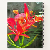 Vallarta Flaming Beauty 1583 Notitieboek (Achterkant)