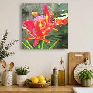 Vallarta Vlammende Schoonheid Tropische Bloemen 15 Canvas Afdruk