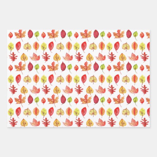 Valle bladeren en bessen Thanksgiving feestdag Inpakpapier Vel (Voorkant 2)