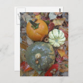 Valle bladeren Pompoenen en pompoenen Briefkaart (Voorkant / Achterkant)