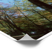 Valle kleuren - Grote rokergebergten - Bomen Poster (Hoek)