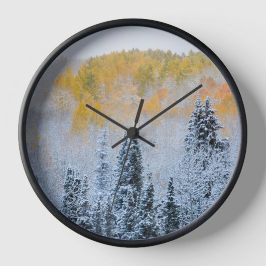 Valle kleuren van espennen en vers sneeuwbalpas (Voorkant)