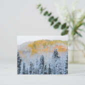 Valle kleuren van espennen en vers sneeuwbalpas briefkaart (Staand voorkant)