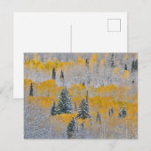 Valle kleuren van espennen en vers sneeuwbalpas briefkaart (Voorkant / Achterkant)