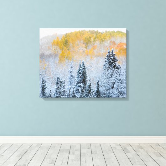 Valle kleuren van espennen en vers sneeuwbalpas canvas afdruk (Insitu (Houten vloer))