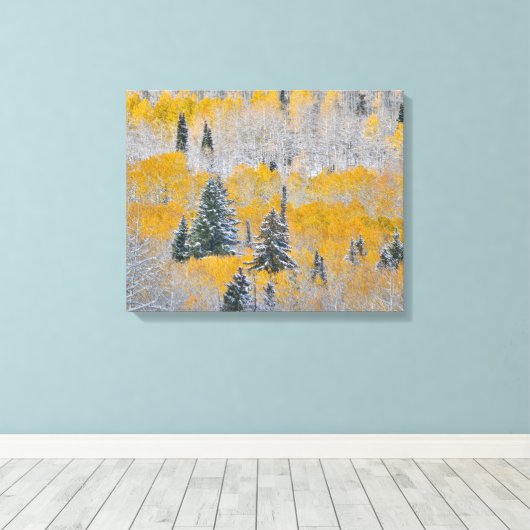 Valle kleuren van espennen en vers sneeuwbalpas canvas afdruk (Insitu (Houten vloer))