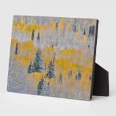 Valle kleuren van espennen en vers sneeuwbalpas fotoplaat (Zijkant)