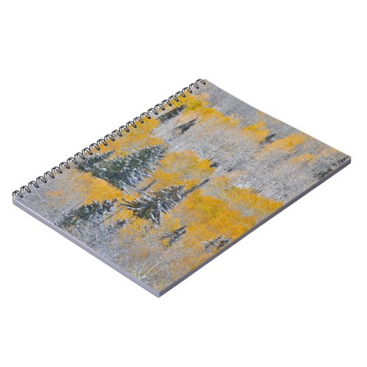 Valle kleuren van espennen en vers sneeuwbalpas notitieboek (Linkerzijde)