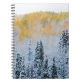 Valle kleuren van espennen en vers sneeuwbalpas notitieboek (Voorkant)