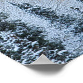 Valle kleuren van espennen en vers sneeuwbalpas poster (Hoek)