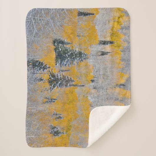 Valle kleuren van espennen en vers sneeuwbalpas sherpa deken (Voorkant)