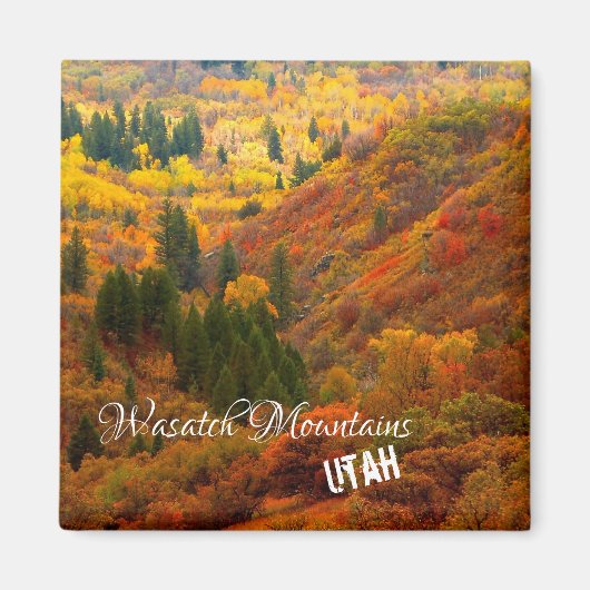 Valle kleuren, Wasatch Mountains, noordelijk Utah  Magneet (Voorkant)