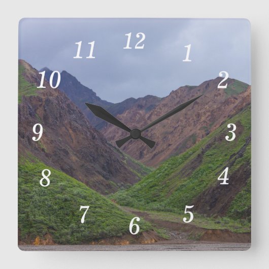 Vallei Bij De Toklat-rivier Van Denali Wandklok (Voorkant)