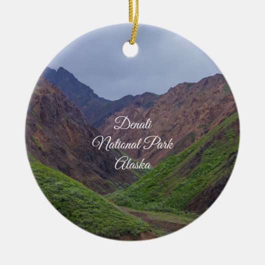 Vallei bij Denali's Toklat River Ornament Souvenir (Voorkant)