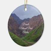 Vallei bij Denali's Toklat River Ornament Souvenir (Links)