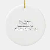 Vallei bij Denali's Toklat River Ornament Souvenir (Achterkant)