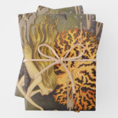  vallei, kleine zeemeermin in oceaankoraal inpakpapier vel (In situ)