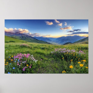 Vallei Natuur Buiten Landschap Kalm Vreedzaam Poster