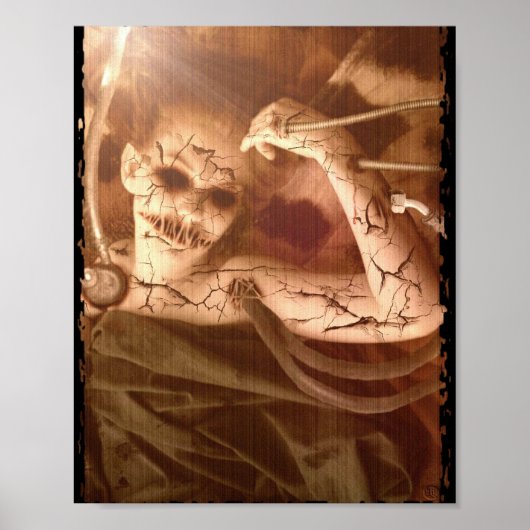 Vallen Delicate Experimenten Poster (Voorkant)