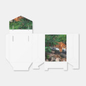 Vallen Drink tijger Bedankdoosjes (Uitgevouwen)