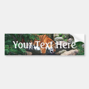 Vallen Drink tijger Bumpersticker