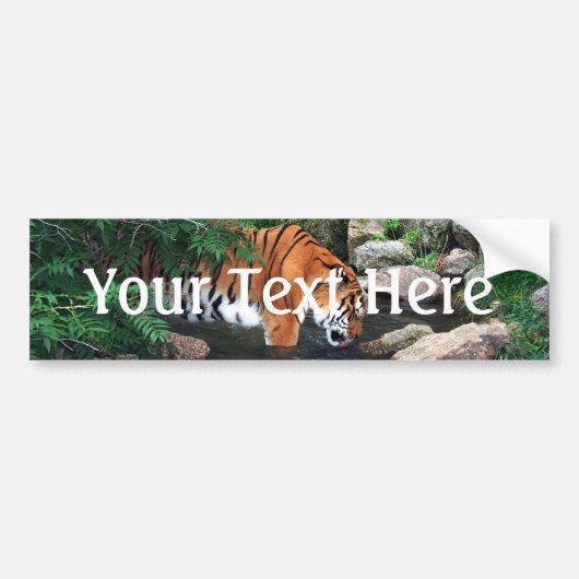 Vallen Drink tijger Bumpersticker (Voorkant)