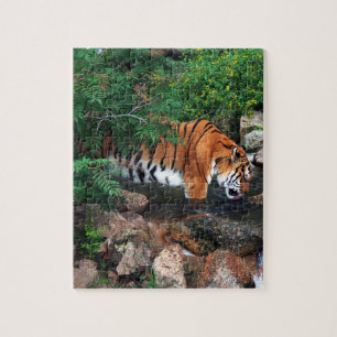Vallen Drink tijger Legpuzzel