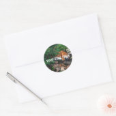 Vallen Drink tijger Ronde Sticker (Envelop)