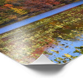 Vallen kleuren in de wildlife schuilplaats foto afdruk (Hoek)