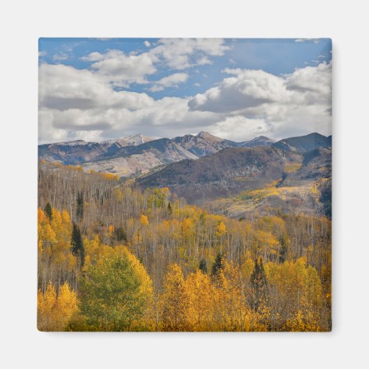 Vallen kleuren van Aspens & Oaks Keebler Pass Magneet (Voorkant)