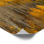 Vallen kleuren van Aspens & Oaks Keebler Pass Poster (Hoek)