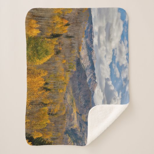 Vallen kleuren van Aspens & Oaks Keebler Pass Sherpa Deken (Voorkant)